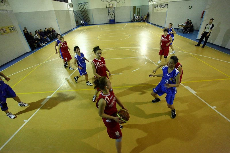 Basket 443111